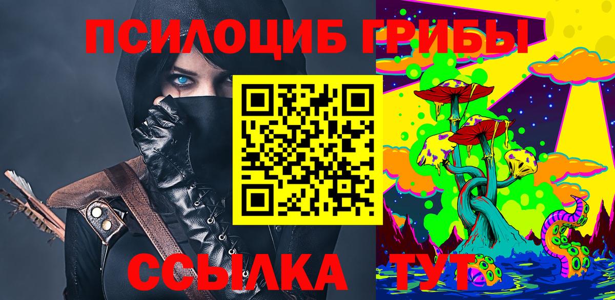 наркотики  Артём  Псилоцибиновые грибы Magic Shrooms  Галлюциногенные грибы Cubensis 