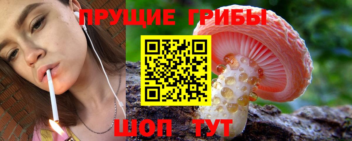Галлюциногенные грибы Cubensis  Вход с VPN  Артём  Псилоцибиновые грибы Psilocybe 